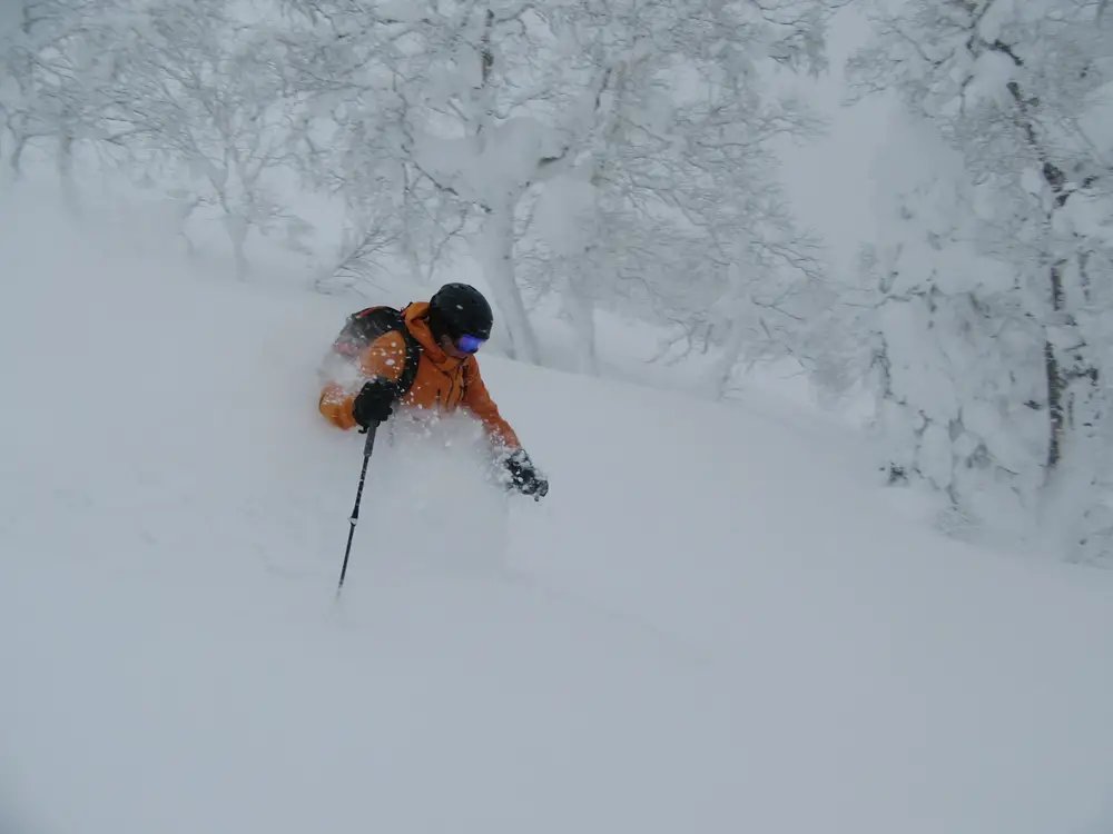 ❄️ 키로로 리조트 (키로로리조토) 이미지 8